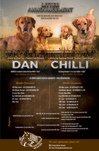 Digital Design - READ DESCRIPTION