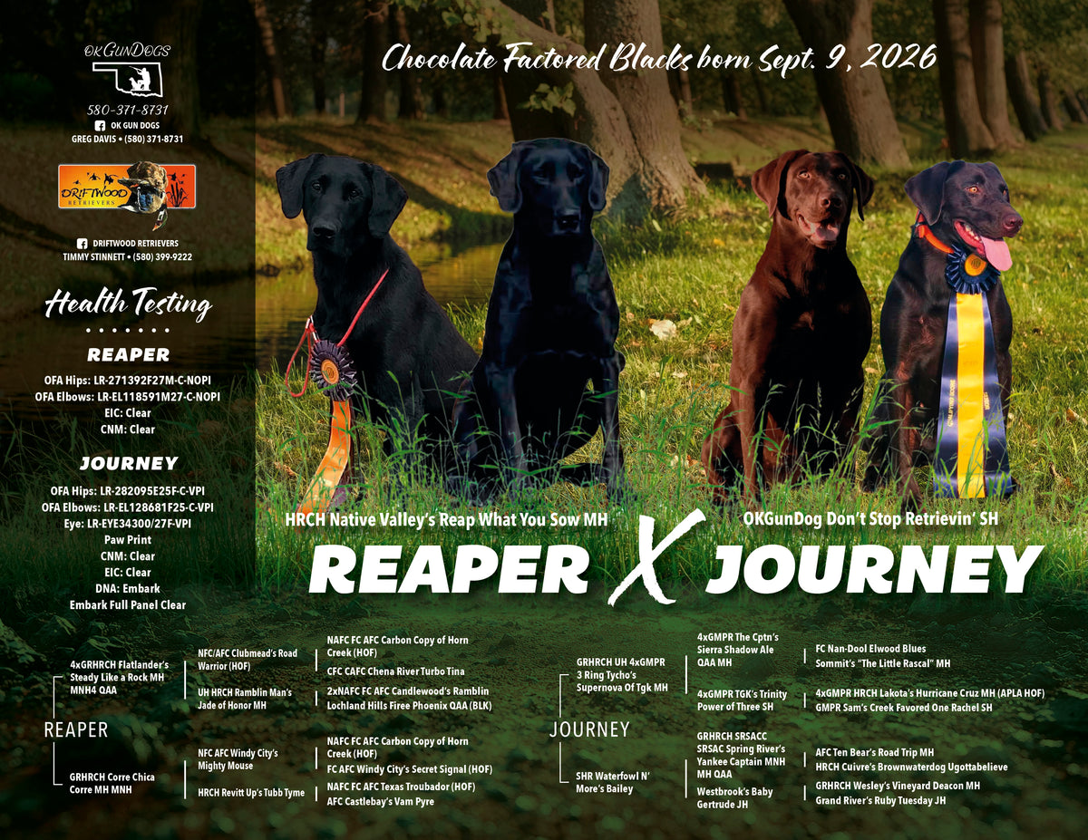 Digital Design - READ DESCRIPTION