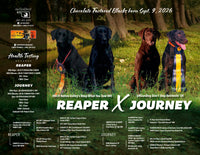 Digital Design - READ DESCRIPTION
