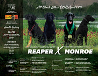 Digital Design - READ DESCRIPTION